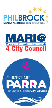 2020CouncilCandidates